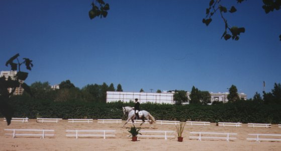 Jerezano competing at Campo Grande in Lisboa
